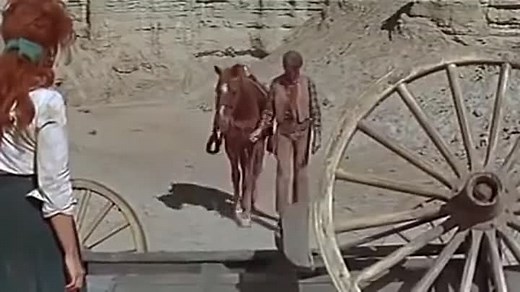 The Rare Breed - James Stewart, Maureen O'Hara 1966
