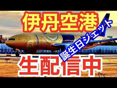 綺麗 夕方🟢伊丹空港ライブ🔴#大阪伊丹空港ライブ🟢#伊丹空港ライブ🟢#空港ライブ