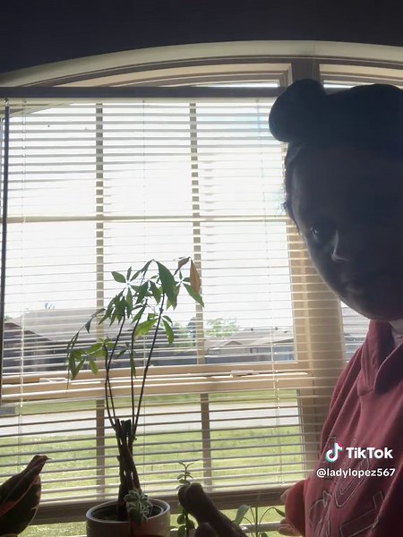 Mind blown! Blinds with NO PULL STRINGS! Game changer!!! #domesticatedAF #easilyentertained #housewifesoftiktok #nostrings Just push em up, and pull em down 🙌🏽