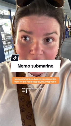 Nemo Submarine Adventures: Accessible Observation Room