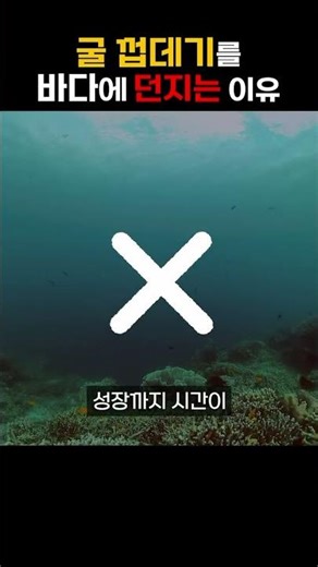 What happens when you drill a hole in an oyster shell and throw it into the sea?