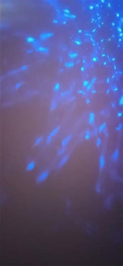 Angela leiva cover Denisse un poquito