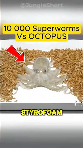 These Worms Eat Anything Even Plastic!😱♻️