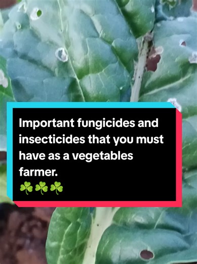 Essential Fungicides and Insecticides for Vegetable Farming