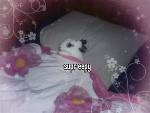 Adorable Rabbit Videos on Instagram: "Holidays are draining me🫩 #rabbitsofinstagram #rabbits #funnyanimals #memes #sleepy #bunny #petlovers #cuteanimals #cutepets pets"