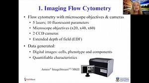 Imaging Flow Cytometry and Chromosomal Analysis of Blood Cancers