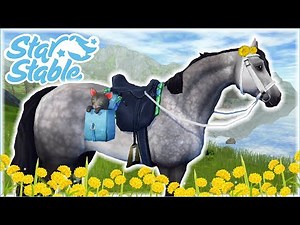 A New Curious Connemara Companion!! • Star Stable Online: Connemara Update