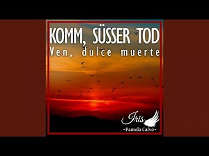 Komm, süsser Tod (From "The End of Evangelion")