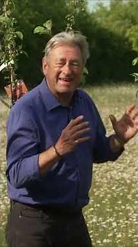 Grow the Perfect Pears for Small Gardens! 🍐 #Gardening