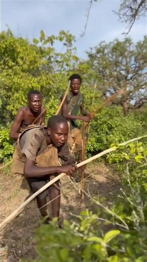 Epic Wild Boar Hunt with Traditional Bows🏹 | जंगली सुअर का शिकार | Caça ao Javali Selvagem na África