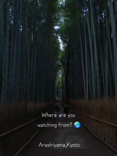 Kyoto bamboo forest evening walk 🌿 Arashiyama Bamboo Grove in a calm sunset atmosphere. Follow for the real Kyoto >> #Arashiyama #Kyoto #BambooForest #MyanmarTravel #Myanmar