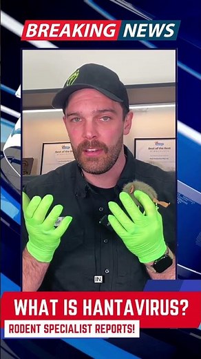 Rodent Expert Tells us about the Hantavirus! 🦠