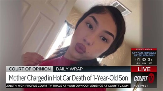 Toddler dies in hot car while mom gets cosmetic procedure | Court of Opinion