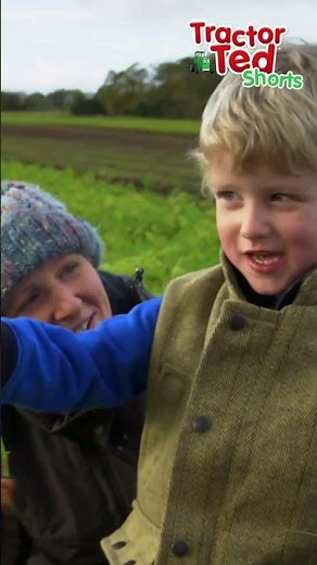 Carrots 🥕 | Tractor Ted Shorts | Tractor Ted Official Channel