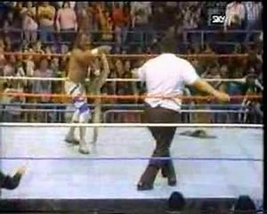 WWF History - Andre the GIANT & Jake Roberts feud