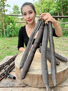 558K views · 8K reactions | Eat yummy fruit delicious | Primitive TV | Facebook