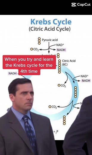 Understanding the Krebs Cycle: Biology Jokes and Memes