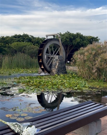 Brooklyn Prince | Borrowing peace from the Earth for a moment. | Instagram