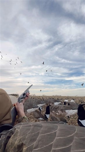 Ain’t got no shell in it 😂