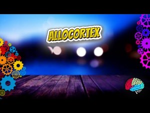 Allocortex - Know It ALL 🔊✅