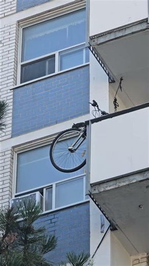 Black Squirrel Runs on Bicycle Wheel Hanging from High Rise Balcony
