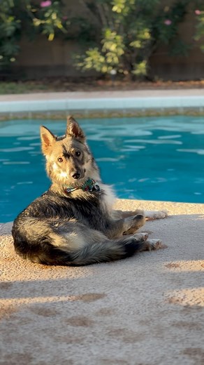 45K views · 10K reactions | It’s been one week since we received Andy...