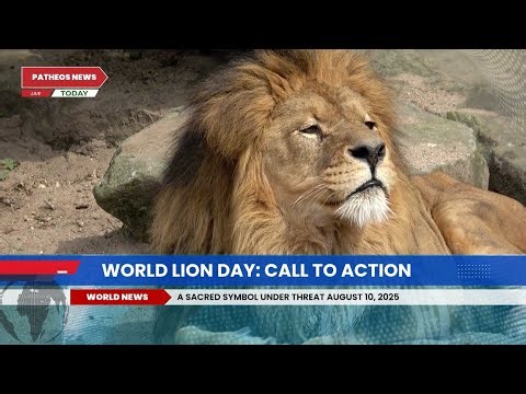 🎥 Faith & Conservation: Honoring World Lion Day | August 10, 2025