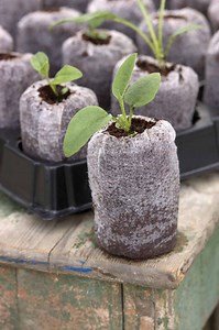 Coir Jiffy Pellet Tray Sets