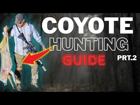 Beginners Guide to Coyote Hunting: How to Hunt Coyotes the Right Way