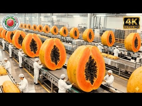 How Papaya Is Turned Into Juice at Massive Scale | Inside a Modern Papaya Factory
