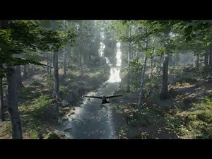 Exploring Forest Environment