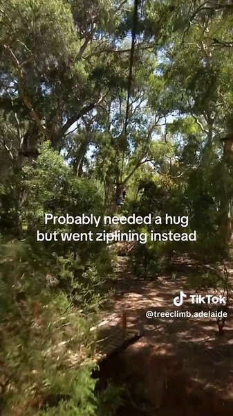 Experience Adventure at TreeClimb for Stress Relief