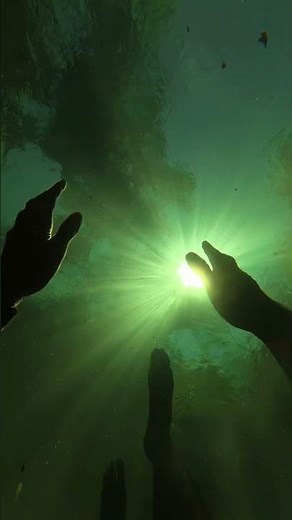 POV: Turning Toward the Sun Underwater