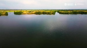 22K views · 396 reactions | 閭 El Lago de #Texcoco se rescató, se han reencauzado 5 ríos del Valle de México hacia esta Área Natural Protegida. Hoy contamos con una reserva ecológica que abarca 14 mil hectáreas, espacio equivalente a 17 veces el Bosque de Chapultepec. Conoce esta belleza natural ⏯️ | Secretaría de Ciencia | Facebook