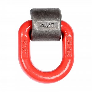 [Hot Item] Heavy Duty Weld on Forged D Shaped Lashing Ring for Trailer