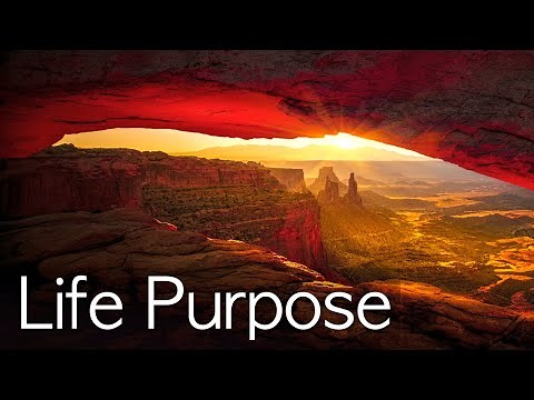 The Ultimate Guide to Finding A Life Purpose
