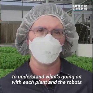 1.1K reactions · 515 shares | These robot farmers are growing more crops with less waste. ‍ #engineering | Interesting Engineering | Facebook