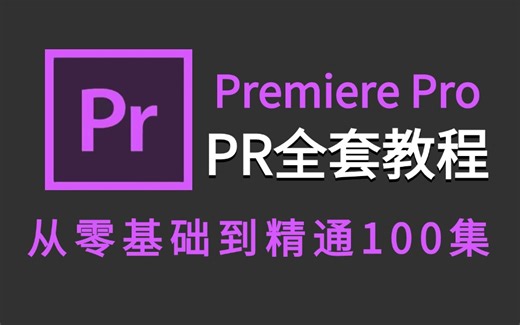 【PR2025教程】全网最良心最全的PR全套100集，零基础到精通教程！基础软件 实用技巧教程！！