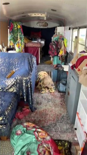 Unique School Bus Conversion: Inside the Quirky Living Space#busconversion