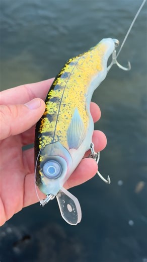 Nate Marling on Instagram: "Did the shiniest walleye paint scheme I could muster in the latest video."