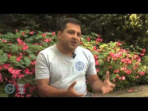 A Definition of Epigenetics in Humans