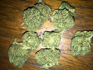 Golden Kush | Marijuana Strain Reviews