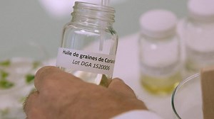 botanicals - Cuidado del cabello - Cabello |L'Oréal Paris