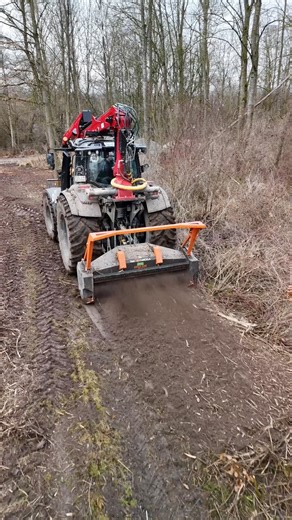 Land Forst Kommune Seemaier beim Fällen und Mulchen #farming #landwirtschaft #agriculture #forst
