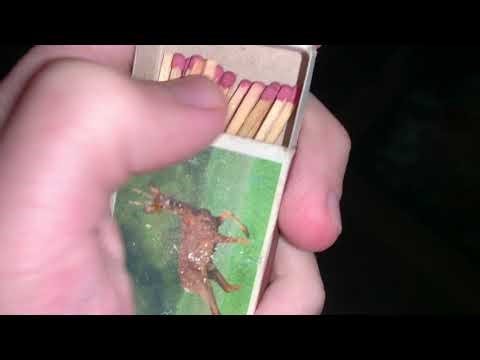 💥 The FASTEST ASMR Ever! Speedrun for Intense Tingles! 💥