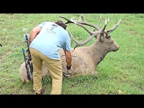 Shooting Realistic 3D Animals | ARCHERY CHALLENGE COURSE