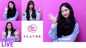 [Purple LIVE / Close Up] FANATICS-FLAVOR - #MILKSHAKE #FLAVOR is on Purple LIVE! Check out the girls in a Close Up view💜 #Mubeat for more #KPOP videos! 🔎https://mubeat.page.link/Mdnt | mubeat
