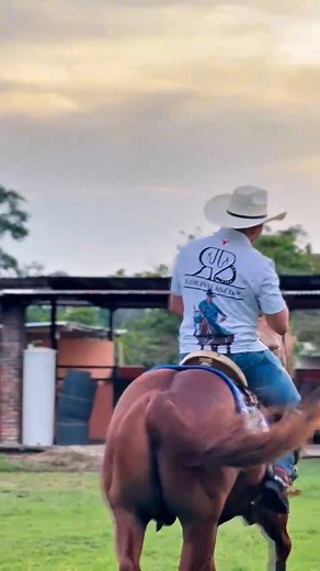 Décimas de amor al coleo 🐎 En las instalaciones de mi hermano @luismena1994 @lm_caballeriza 🐎 bajo el lente 📷 de @dalexrjs @poramoralllano 🐂 Con el bonito Trago de Old Parr 🐴 | Ramon Blanco Jr.