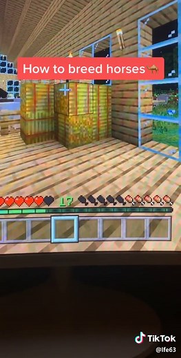 Breeding Horses and Donkeys in Minecraft: A Step-by-Step Guide