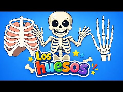 Bones for children Video of the skeletal system by Peques Aprenden Jugando.